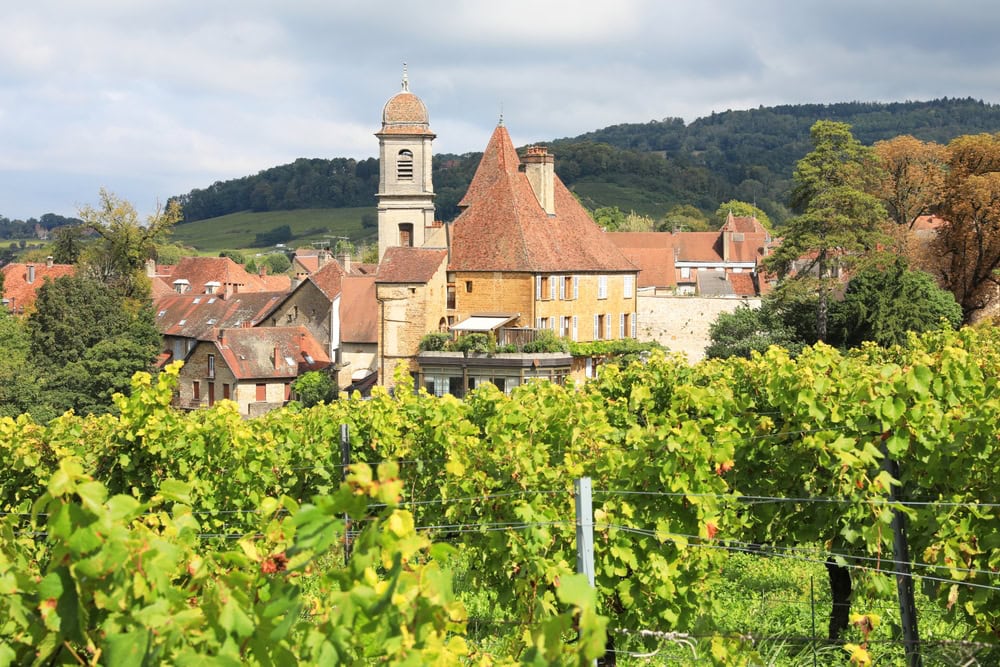 Château-Chalon above its vines — fifty hectares, and the smallest appellation in France
