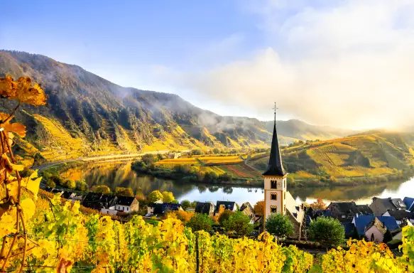 A bend of the Mosel in autumn — golden vineyards and a village spire
