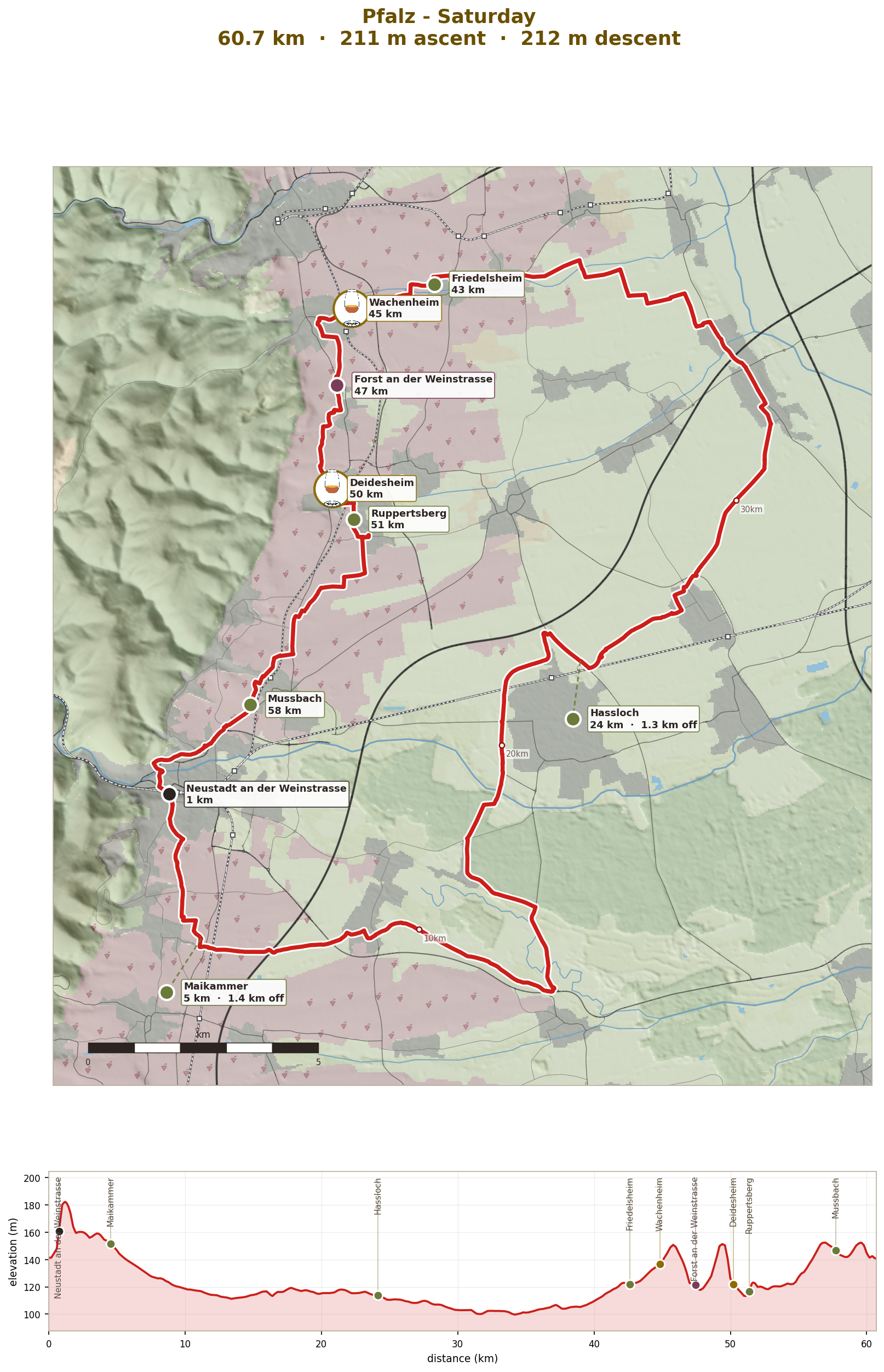 Saturday: the Rhine plain, then the Mittelhaardt villages, 61km